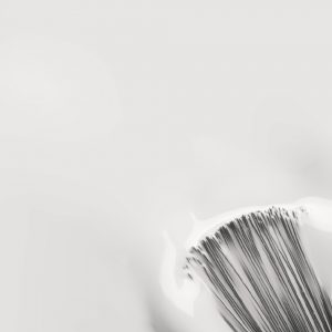 MANUCURE - INOCOS - COULEURS - SEMI - PERMANENT - 91.18.419 - CINZA - CLARO - LIGHT - GREY - YM2 - 15ML - LYSOR - LIANE - 1