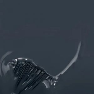 Gris & Noir